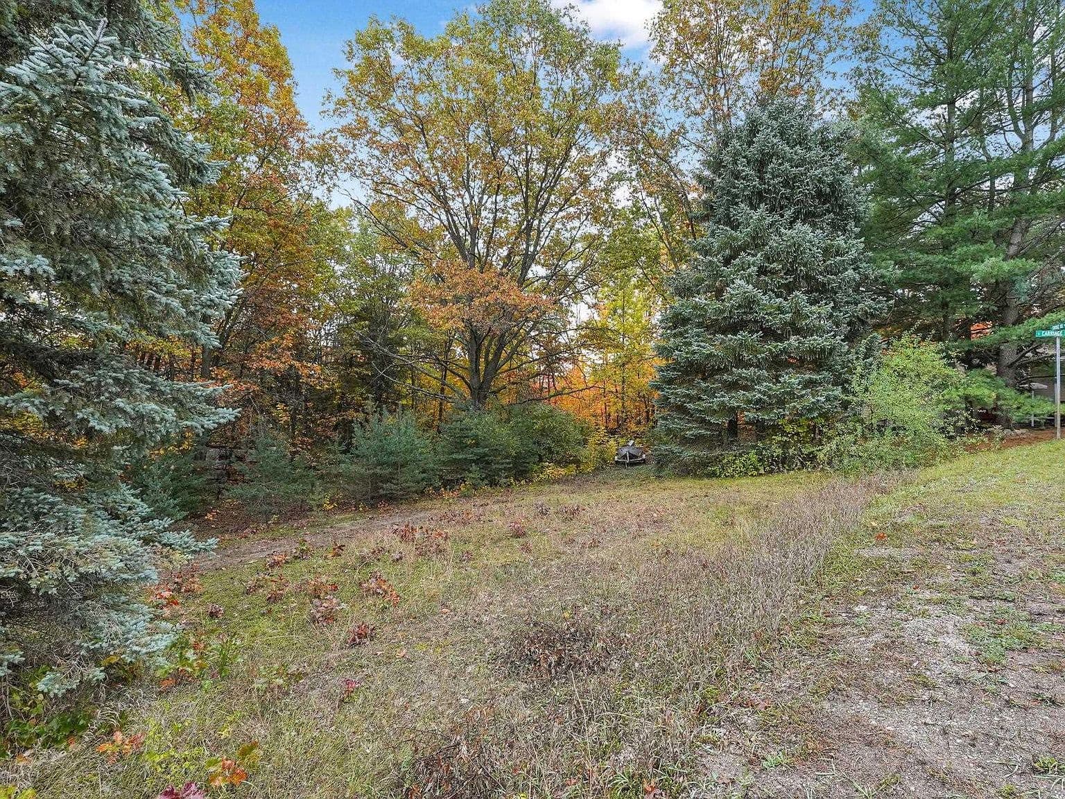 TBD S Carriage Hill Dr photo 5